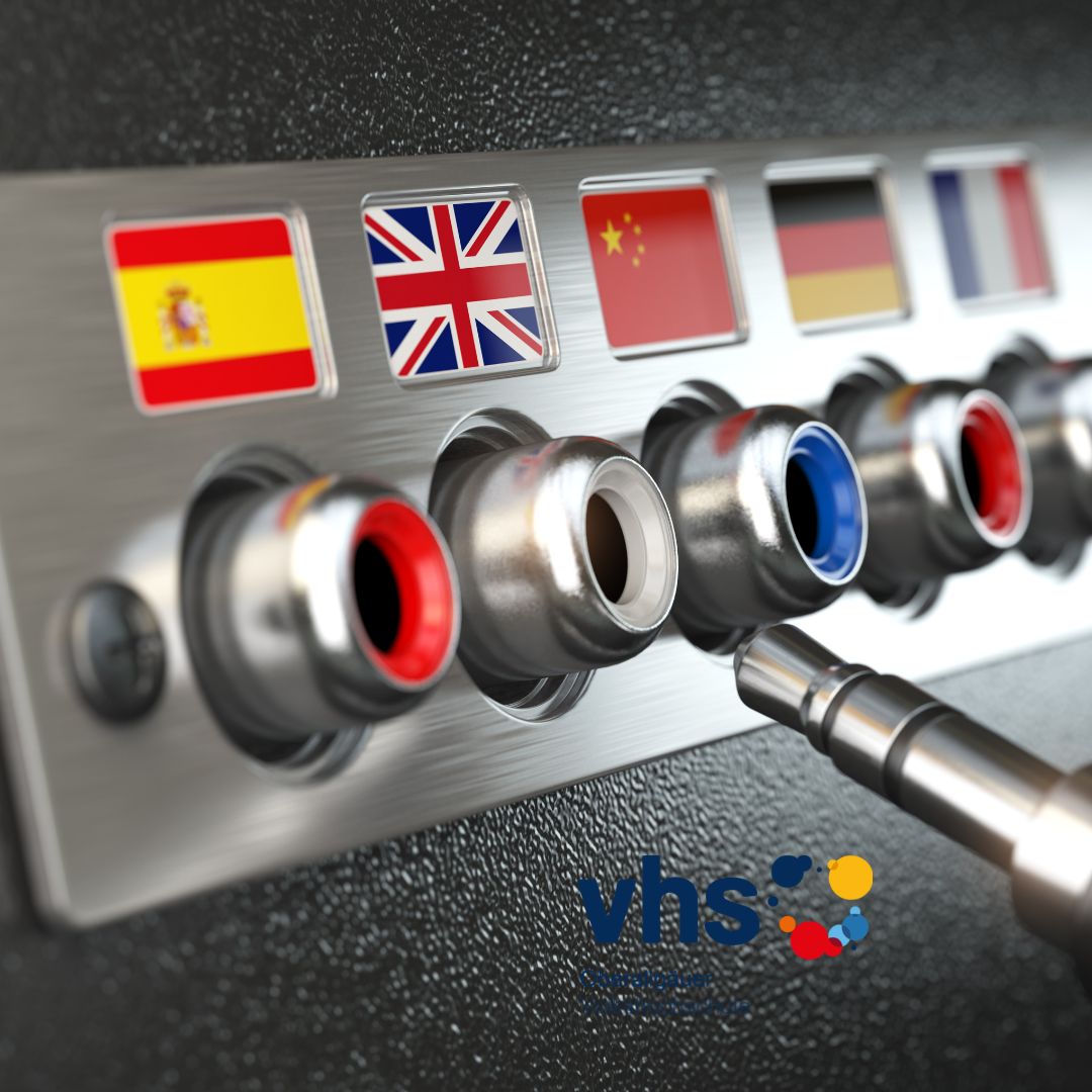 Nahaufnahme eines Panels mit Audioanschlüssen, markiert durch Flaggen von Spanien, Großbritannien, China, Deutschland und Frankreich, daneben vhs-Logo.